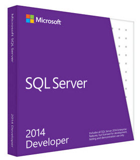 Microsoft Sql 2014 Developer Edition